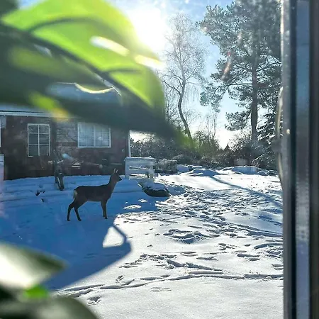 Tatil Evi Beautiful In Vordingborg With Wifi Vordingborg