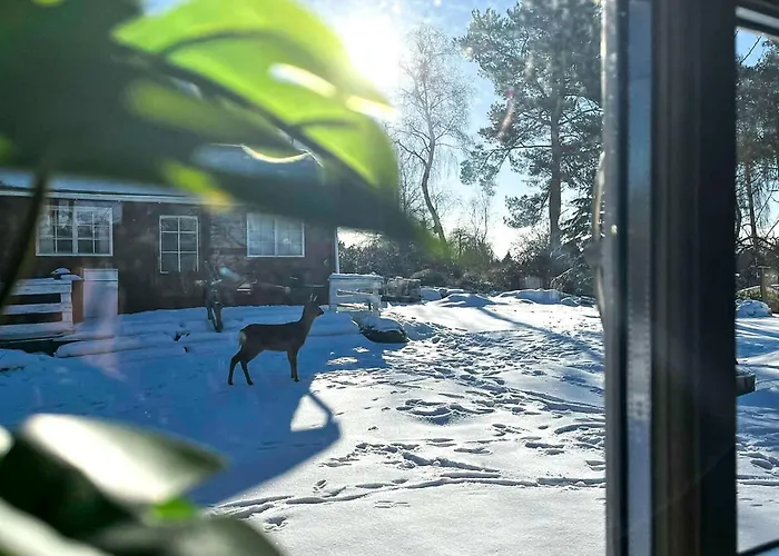 Tatil Evi Beautiful In Vordingborg With Wifi Vordingborg